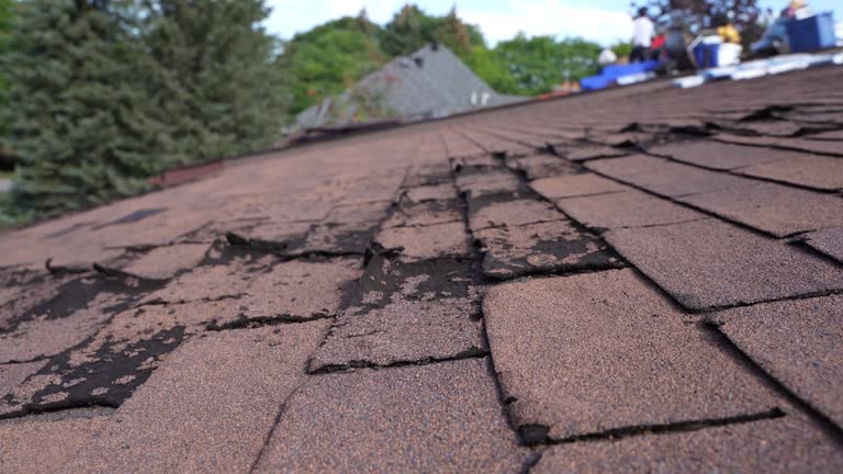 Best Cold Roofs  in Bellwood, PA